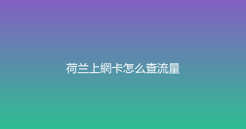 荷兰上網卡怎么查流量 