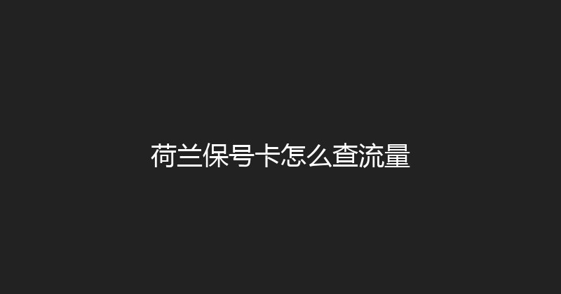 荷兰保号卡怎么查流量 