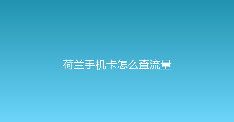 荷兰手机卡怎么查流量 