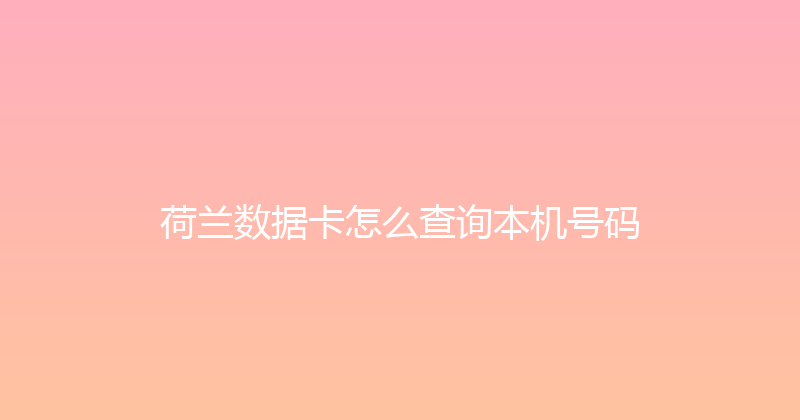 荷兰数据卡怎么查询本机号码 