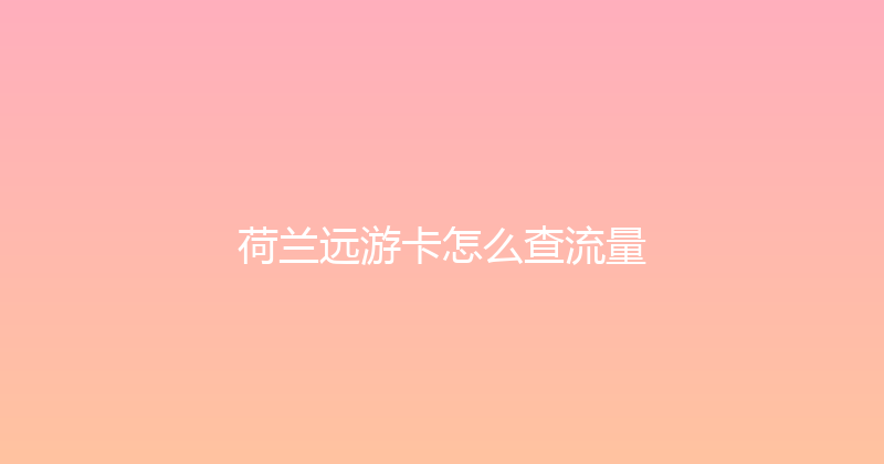 荷兰远游卡怎么查流量 