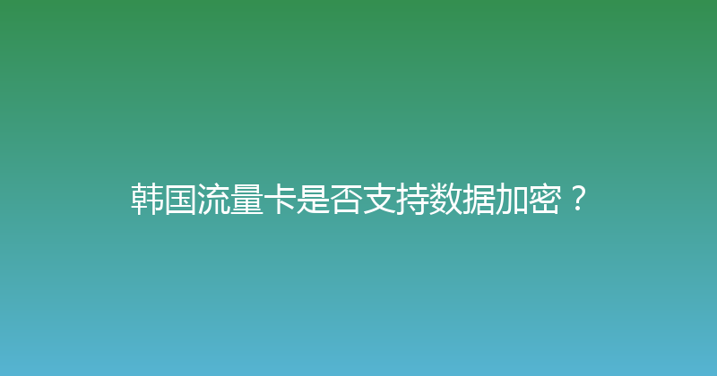 韩国流量卡是否支持数据加密？ 