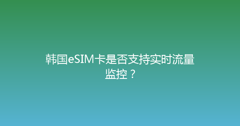 韩国eSIM卡是否支持实时流量监控？ 