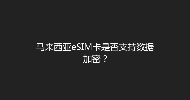 马来西亚eSIM卡是否支持数据加密？ 